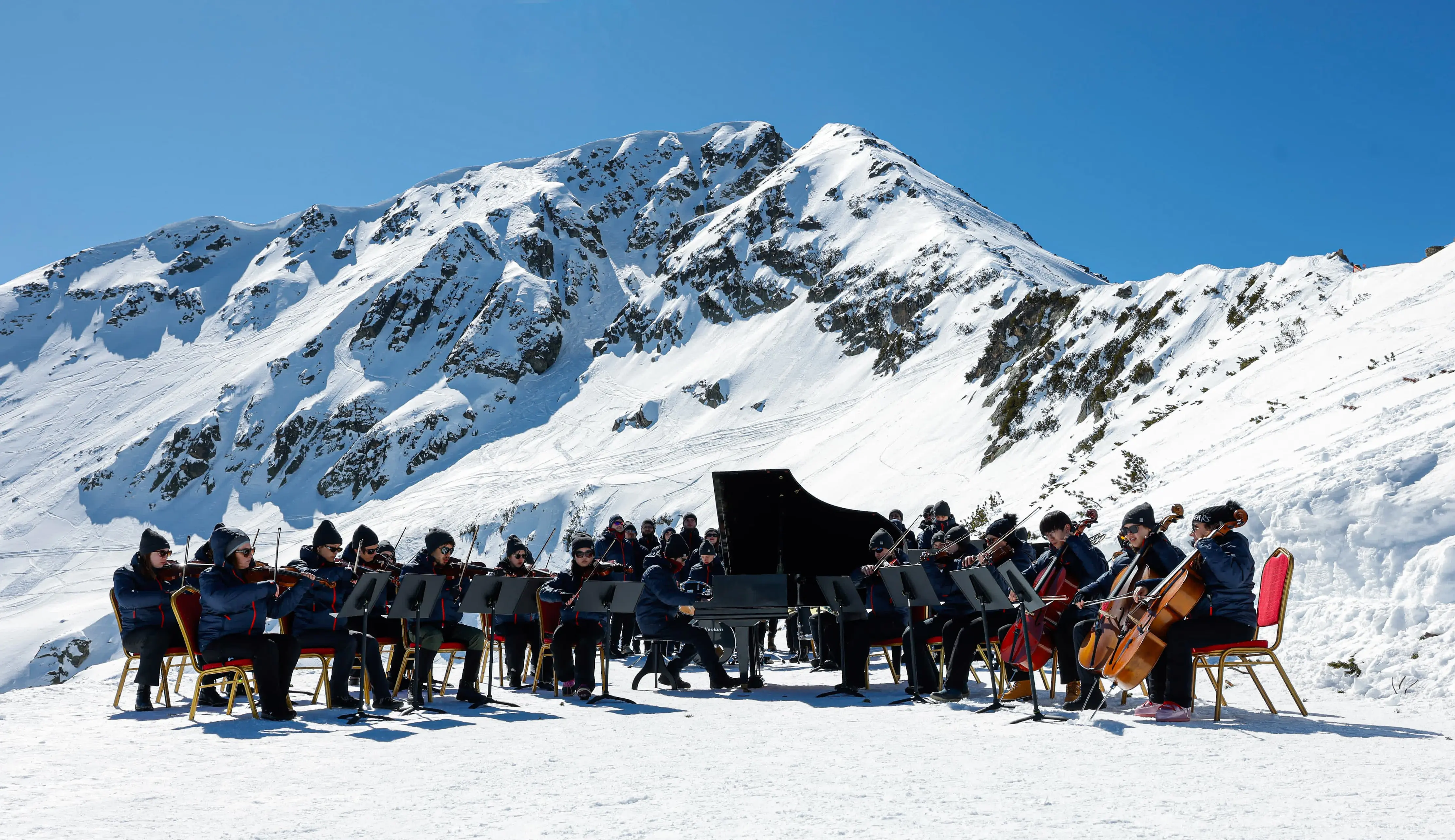 Protectors of the Earth Filmplakat