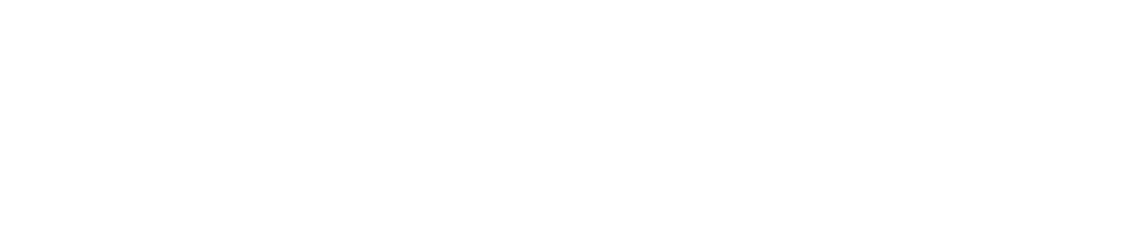 Stadt Mannheim